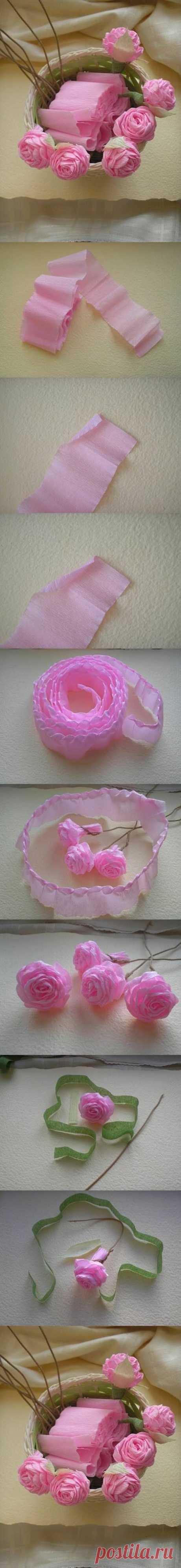 (5) Pinterest