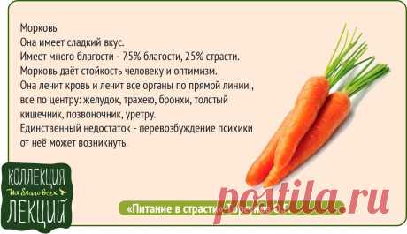 Морковь