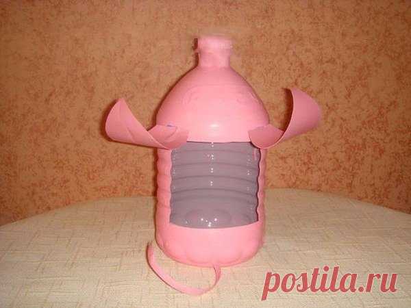 Поросята для дачи