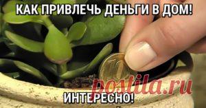 Самые проверенные рецепты - Привлекаем деньги в дом - попробуйте
