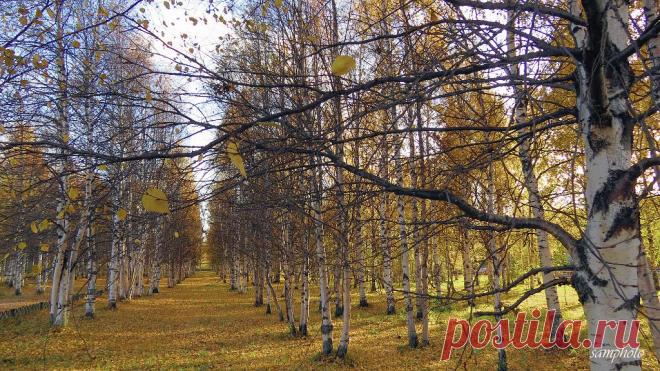 СЕВЕРОДВИНСК
Александр Сопов