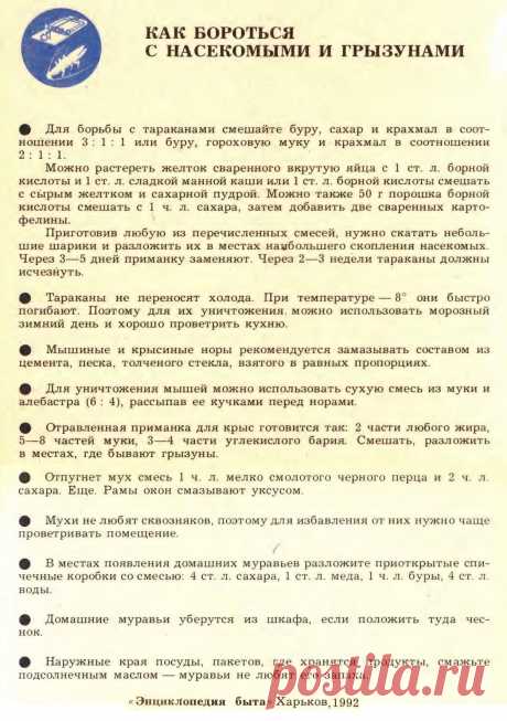 Как бороться с насекомыми и грызунами