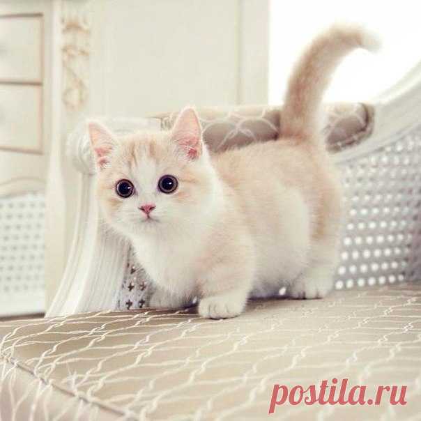 Мир красоты.