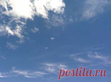 Google+