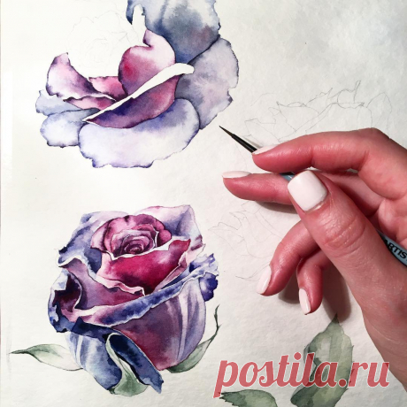 🎨 Watercolor blog @watercolor.blog Instagram profile - Mulpix