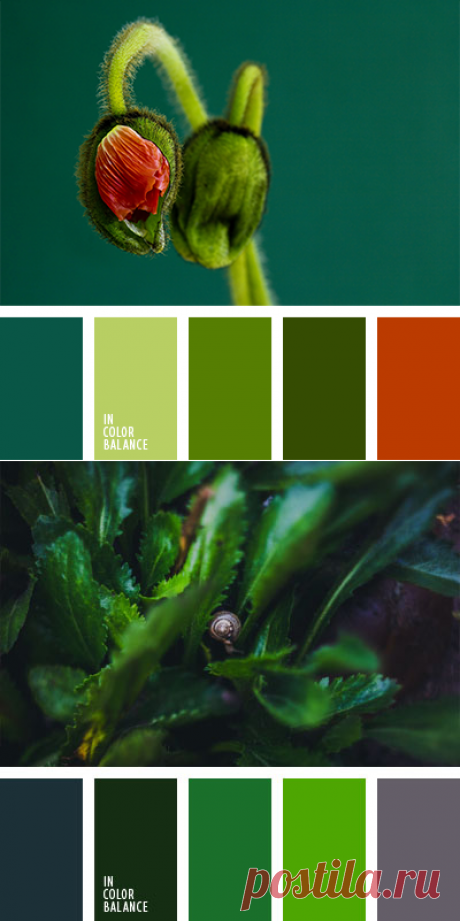 изумрудный цвет | IN COLOR BALANCE | Page 5