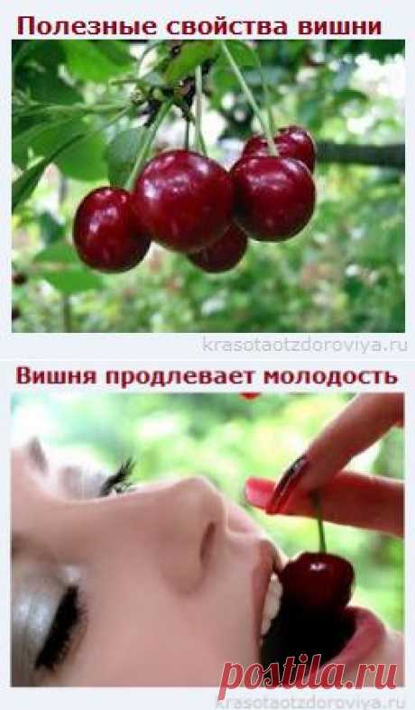 Полезные свойства вишни... | Познавательный сайт ,,1000 мелочей&quot;