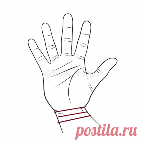 О чем расскажут нам линии на запястье руки | Леля Сережкина | Яндекс Дзен