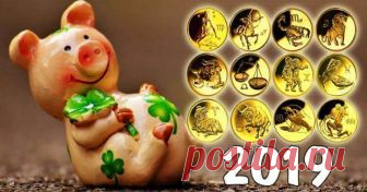Вот 5 знаков зодиака, у которых получится разбогатеть в 2019 году — Лайм