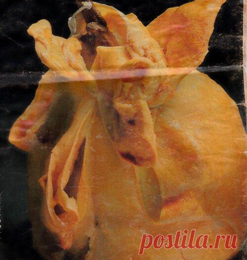 Узелок с яблоком или грушей | ЛЮБОВЬ ПРУСИК | Яндекс Дзен