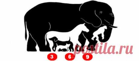 Сколько животных видишь ты?