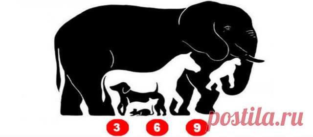 Сколько животных видишь ты?