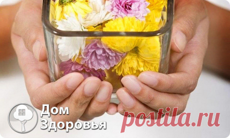 Дом Здоровья и Красоты

Лечение пиелонефрита народными средствами.