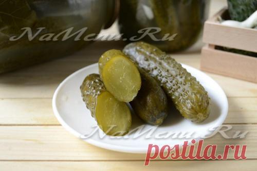 Как солить огурцы холодным способом на зиму в банках