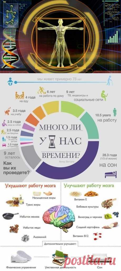 Сотня удивительных фактов о человеческом теле