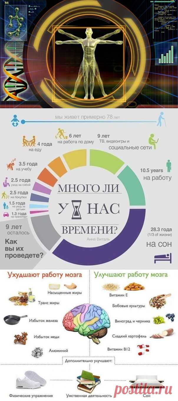 Сотня удивительных фактов о человеческом теле