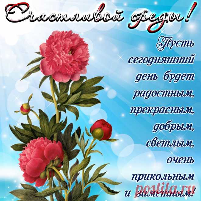 Ух, среда уже идет,
Ускоряет время ход!
Пол недели уж проходит,
Подбираемся к субботе.
