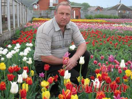 Юрий Иваненко
47 лет, Украина, Украина г. Дергачи