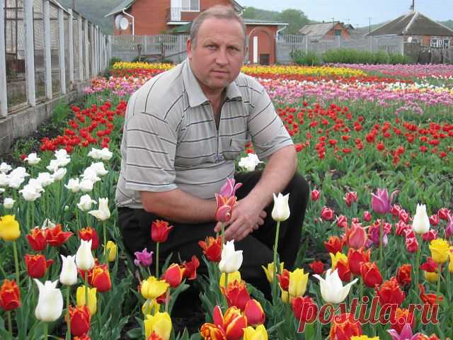 Юрий Иваненко
47 лет, Украина, Украина г. Дергачи