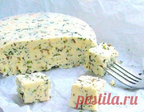 Домашний сыр с зеленью и тмином - вкусно и полезно! Аромат непередаваемый!