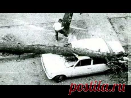 День везения.    The day of luck. - YouTube