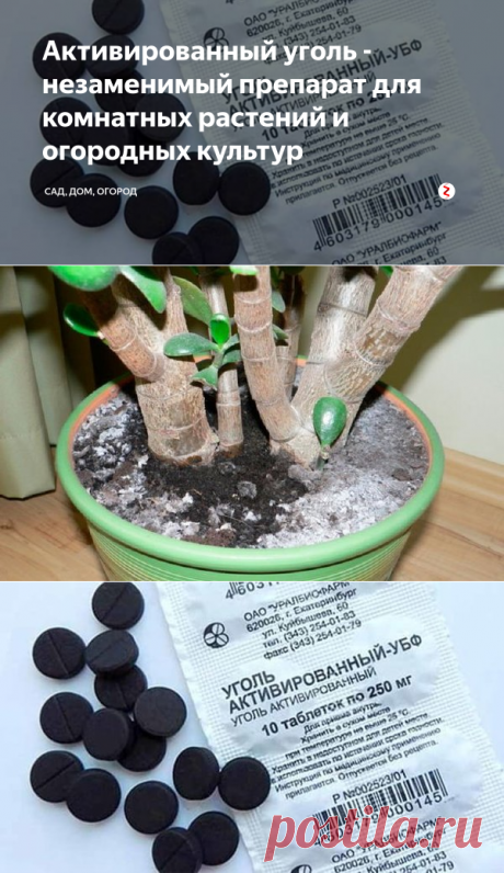 Активированный уголь - незаменимый препарат для комнатных растений и огородных культур  Его применяют для очищения воздуха от вредных веществ, содержащихся в выхлопных газах.
Это природный абсорбент - один из самых популярных в мире.
В комнатных условиях он помогает справиться с избыточным количеством влаги в воздухе, избавляет от неприятных запахов, снижает концентрацию нитратов в овощах.
А также нейтрализует токсины, которые попадают в воздух при использовании химических реагентов на садовых…