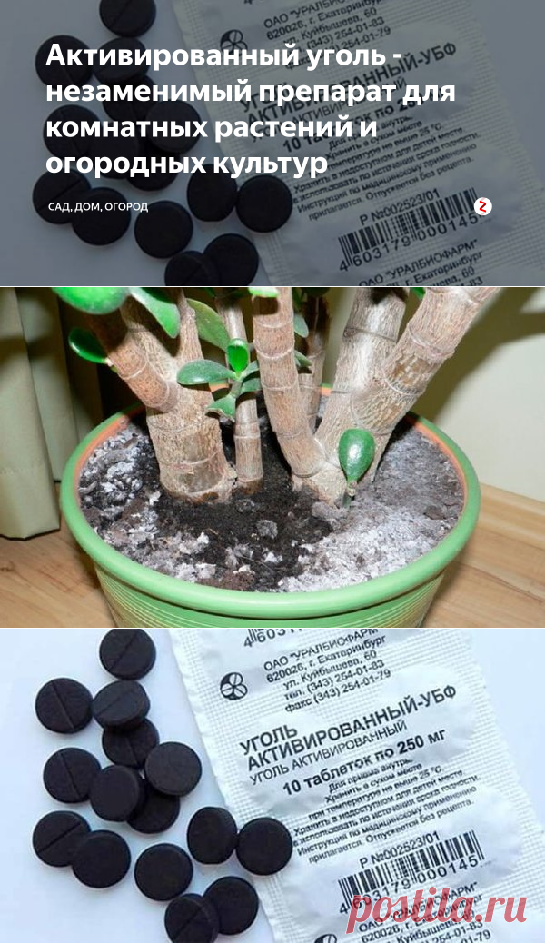 Активированный уголь - незаменимый препарат для комнатных растений и огородных культур  Его применяют для очищения воздуха от вредных веществ, содержащихся в выхлопных газах.
Это природный абсорбент - один из самых популярных в мире.
В комнатных условиях он помогает справиться с избыточным количеством влаги в воздухе, избавляет от неприятных запахов, снижает концентрацию нитратов в овощах.
А также нейтрализует токсины, которые попадают в воздух при использовании химических реагентов на садовых…
