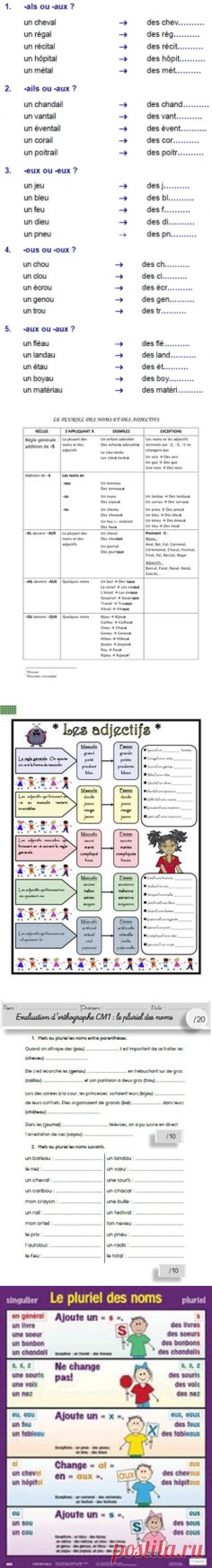 (1) le pluriel des noms, exercice | For Blaise