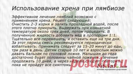 Лямблиоз лечит хрен