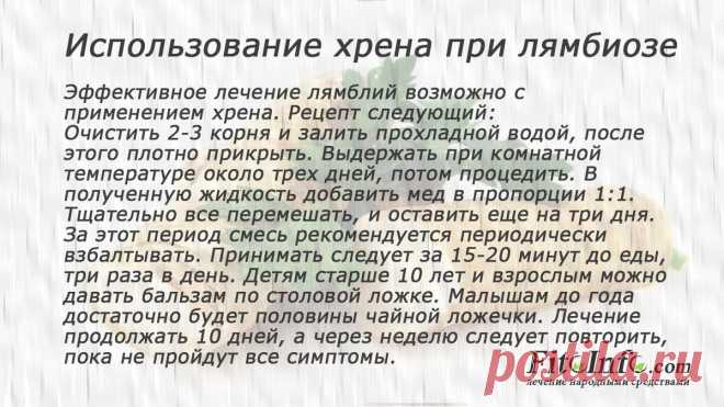 Лямблиоз лечит хрен