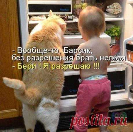 Василий Анхим | ВКонтактi