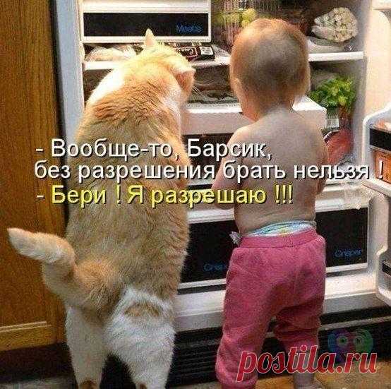 Василий Анхим | ВКонтактi