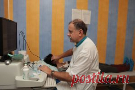 Допплерография сосудов головного мозга: показания и проведение