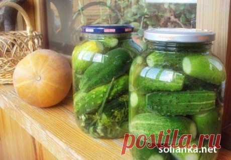 Хрустящие огурчики - проверенный рецепт самых вкусных огурцов