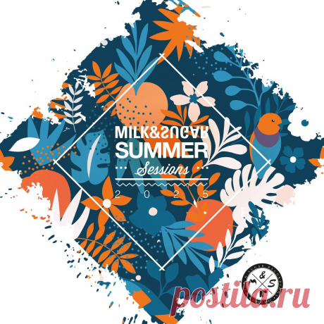 VA - Milk & Sugar Summer Sessions 2025 MSRCD106 » MinimalFreaks.co