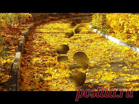Шелест листьев под ногами. Приятные звуки. - YouTube