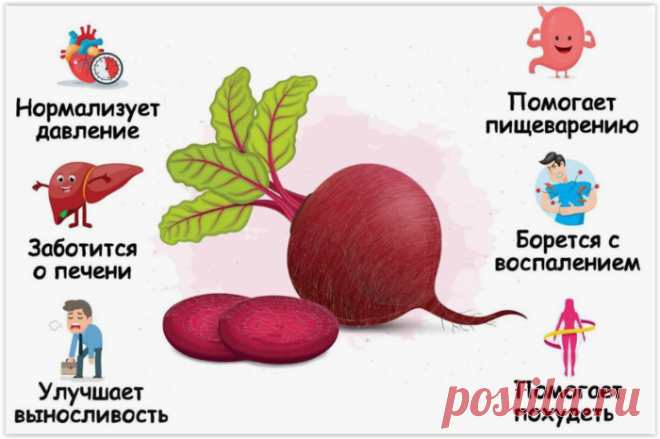 СВЕКЛА — ЛУЧШИЙ ЛЕКАРЬ!