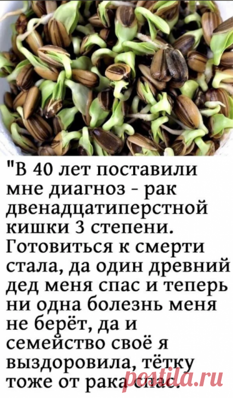 4 РЕЦЕПТА, КОТОРЫЕ ВЫЛЕЧАТ ПОДЖЕЛУДОЧНУЮЖЕЛЕЗУ БЕЗ ЛЕКАРСТВ – ПОЛЕЗНАЯ ГРУППА