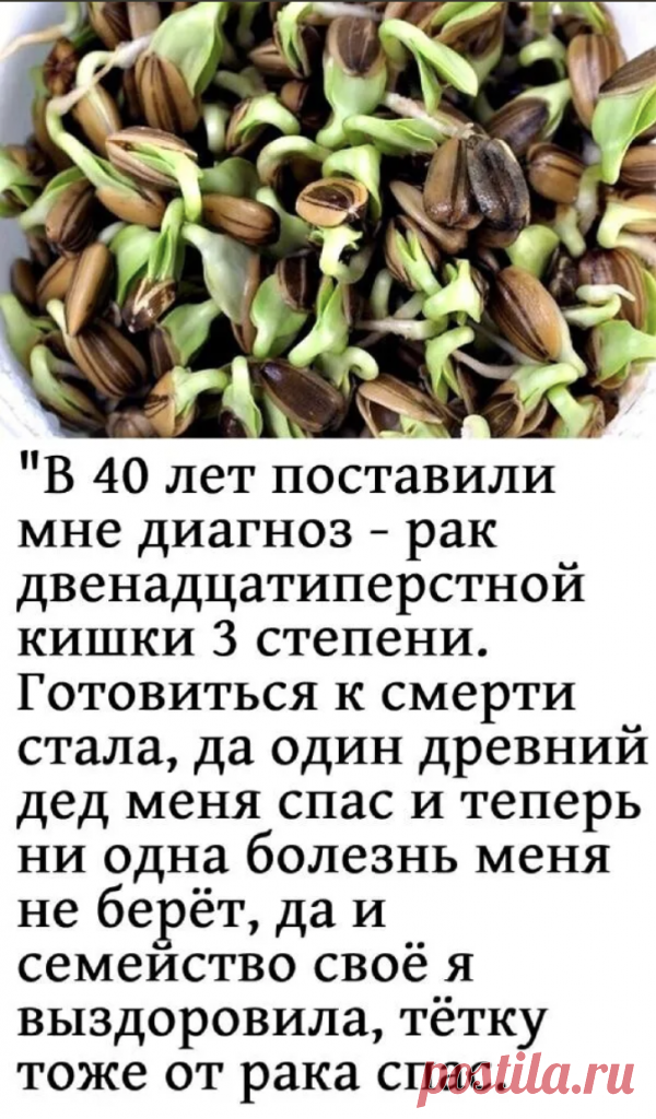 4 РЕЦЕПТА, КОТОРЫЕ ВЫЛЕЧАТ ПОДЖЕЛУДОЧНУЮЖЕЛЕЗУ БЕЗ ЛЕКАРСТВ – ПОЛЕЗНАЯ ГРУППА
