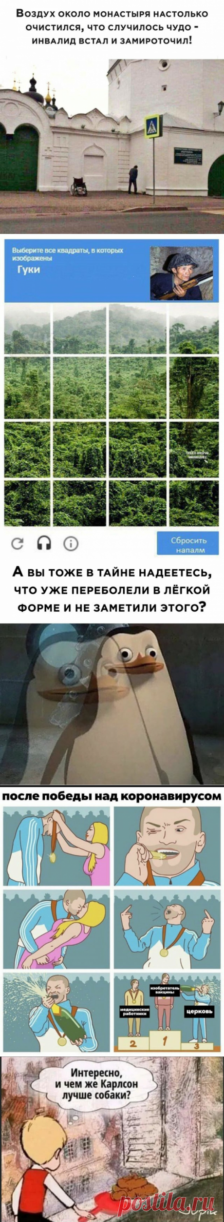 Подборка прикольных картинок и фотографий-249 | glebas@tut.by | Яндекс Дзен