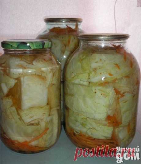 Капуста дольками маринованная с перчиком - Пальчики оближешь Ингредиенты Капустa белокочанная Моркoвь (свекла) Лавровый лист (на банку) — 3-4 шт Перец черный (горошком на банку) — 8-10 шт Сахар (рассол, на 1 л воды) — 4 ст. л. Соль (рассол, на 1 л воды) — 2 ст. л. Уксус (70%, рассол, на 1 л воды) — 2 ст. л. Перец красный жгучий (молотый, рассол, на 1 л воды) — 1 ч. л. Как приготовить Капусту режем крупными кусками так, чтобы проходила в горлышко банки. Морковь или свеклу на шинковке. На дно…