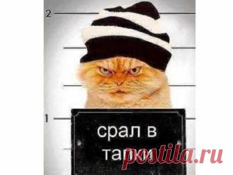Поймал бытового сепаратиста
Читаем :  https://mpsh.ru/151-poymal-bytovogo-separatista.html