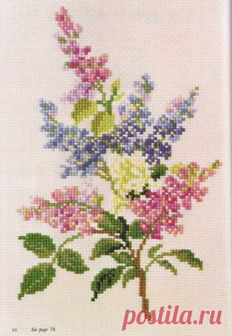Gallery.ru / Фото #31 - Ondori - Cross Stitch Designs - svjuly
