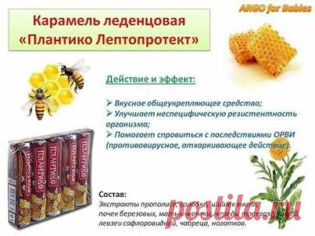 Если упорно не желает проходить кашель после перенесенного ОРВИ, по утрам скребет в горле, замучил стоматит и другие подобные «радости», связанные с инфекциями ЛОР-органов и дыхательных путей, то Вам помогут леденцы «Плантико лептопротект» с натуральной формулой «Лептопротект».
При таких мелких недугах общее состояние вроде бы особо не страдает, поэтому к лекарствам лишний раз прибегать не хочется. Терпим и ждем, пока само «рассосется». И «рассасывается» в конце концов, но разве такие мелочи не