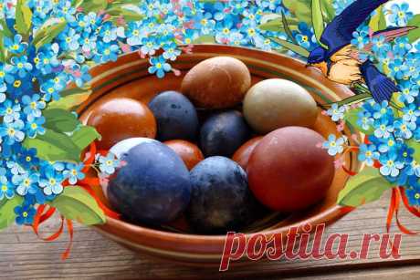 Дары весеннего кролика, или Как покрасить куриные яйца к Пасхе природными красителями