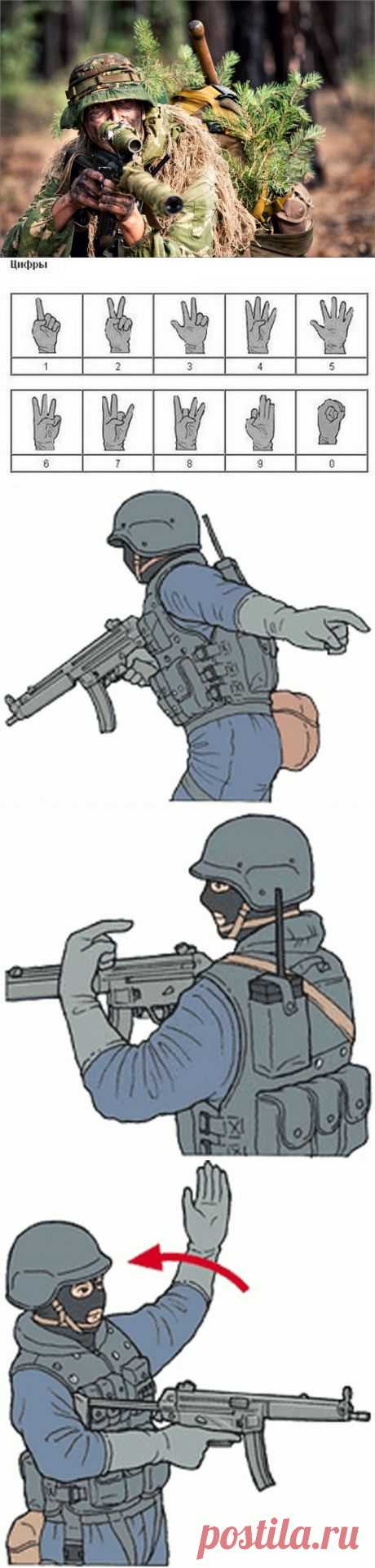 Язык жестов спецназа | Сайга 12.ru
