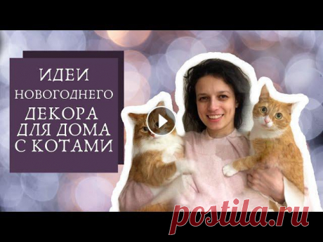 9 идей украшения дома, в котором живут коты

вязание детской кофты видео