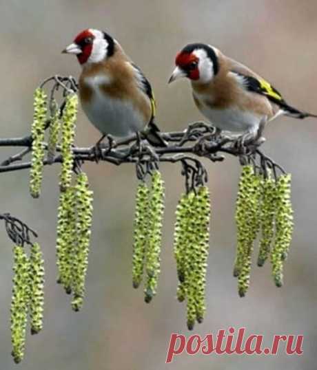 Вдохновение Души ...🥀🦜

Остановитесь на мгновение, послушайте Природу...
Нельзя все время спешить ... Мы перестаем замечать ЖИЗНЬ...
Чем тише ваше Счастье, тем дольше суждено ему прожить......
Жизнь прекрасна ...Пусть Господь благословит Вас и Жизнь !