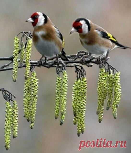 Вдохновение Души ...🥀🦜

Остановитесь на мгновение, послушайте Природу...
Нельзя все время спешить ... Мы перестаем замечать ЖИЗНЬ...
Чем тише ваше Счастье, тем дольше суждено ему прожить......
Жизнь прекрасна ...Пусть Господь благословит Вас и Жизнь !