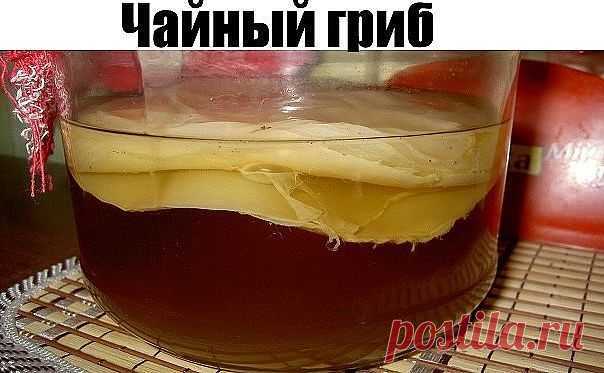 (1) Одноклассники